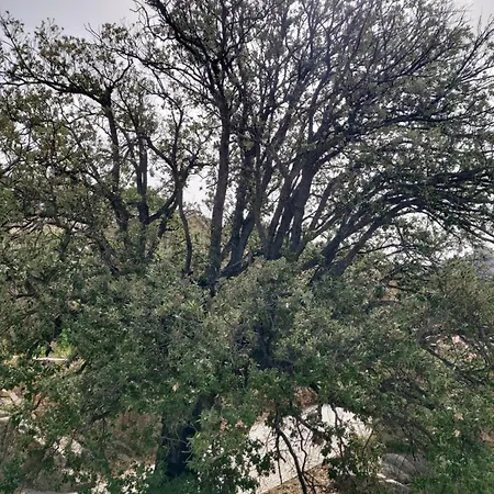 La Dimora Degli Dei Vila